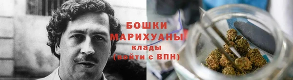 индика Наволоки