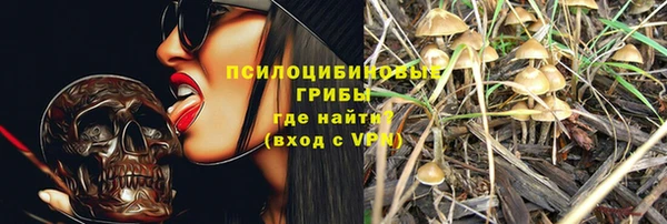 бошки Нея