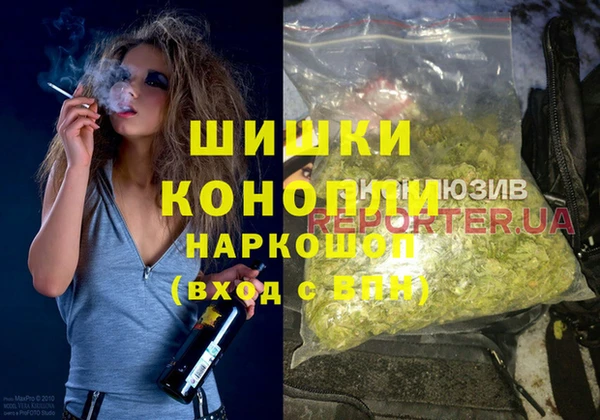 индика Наволоки